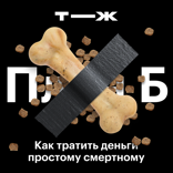 Сколько стоит содержать домашних животных? Разбираем самую милую категорию трат ?