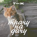 Пытаюсь понять, что делать дальше. Боюсь, что больше ничего не найдем