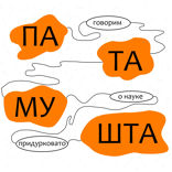 Почему в машине руль не посередине?