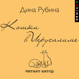 Кошки в Иерусалиме
