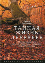Тайная жизнь деревьев. Что они чувствуют, как они общаются – открытие сокровенного мира