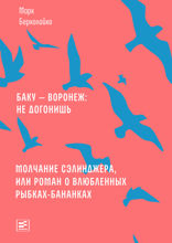 Баку — Воронеж: не догонишь