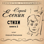 Стихи. Книга 2. Библиотека Стекольщикова