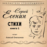 Стихи. Книга 1. Библиотека Стекольщикова