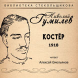 Костёр 1918. Библиотека Стекольщикова